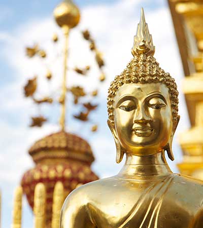 Thai Complete Course (Beginner to Advanced levels)